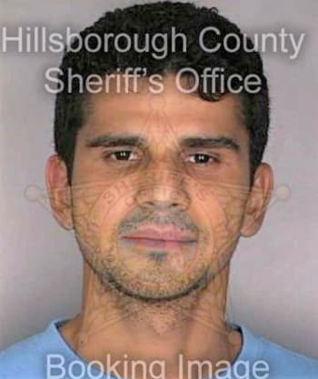 Gonzalez Victor - Hillsborough County, FL 