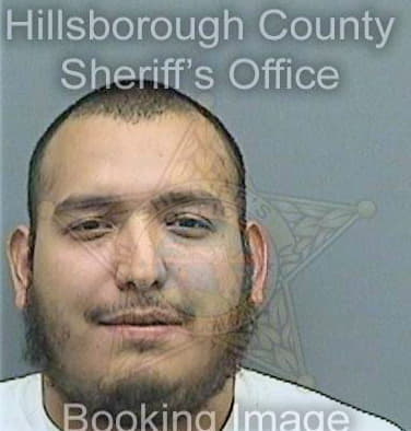 Delarosa Daniel - Hillsborough County, FL 