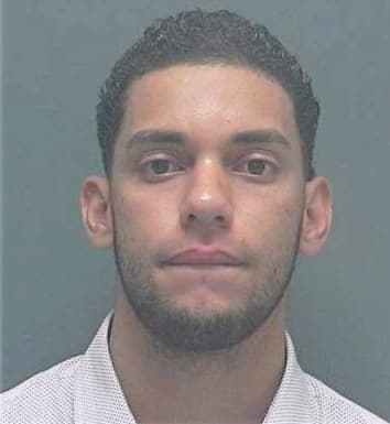 Rosario Luis - Lee County, FL 