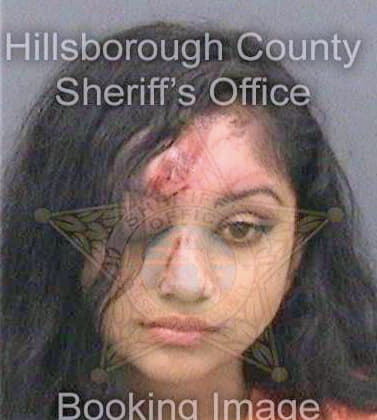 Varde Nishita - Hillsborough County, FL 