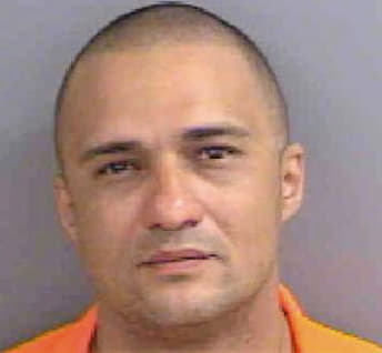 Hernandez Serguey - Collier County, FL 