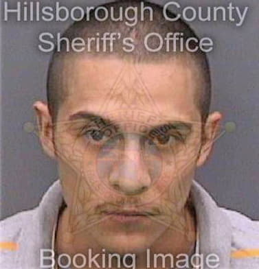 Gomez Arnulfo - Hillsborough County, FL 