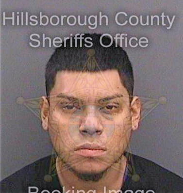 Duque Israel - Hillsborough County, FL 