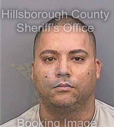 Payano Luis - Hillsborough County, FL 