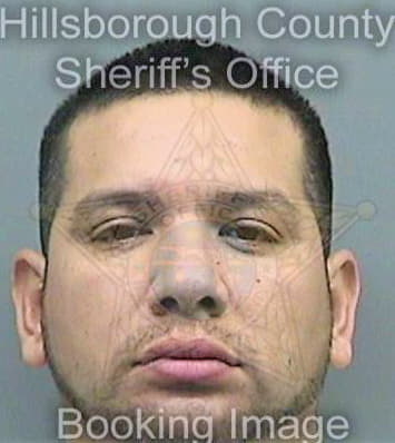 Herrera Jorge - Hillsborough County, FL 