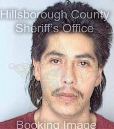 Mendezvillegas Joel - Hillsborough County, FL 