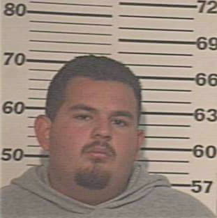 Hernandez Armando - Hidalgo County, TX 