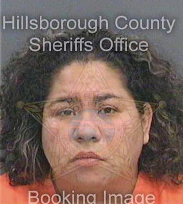 Lewis Analisa - Hillsborough County, FL 