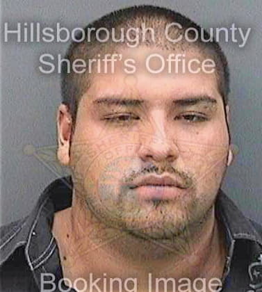 Ferreiravazquez Jose - Hillsborough County, FL 