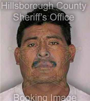 Santizorodriguez Vidal - Hillsborough County, FL 