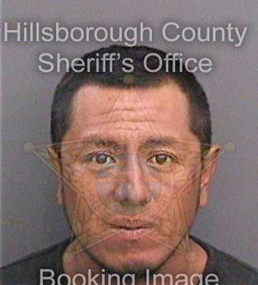 Gonzalezgarcia Eladio - Hillsborough County, FL 