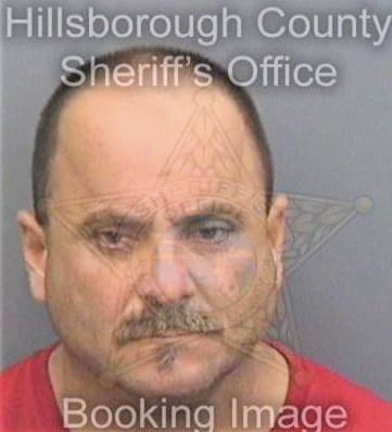 Gonzalezcosta Santiago - Hillsborough County, FL 