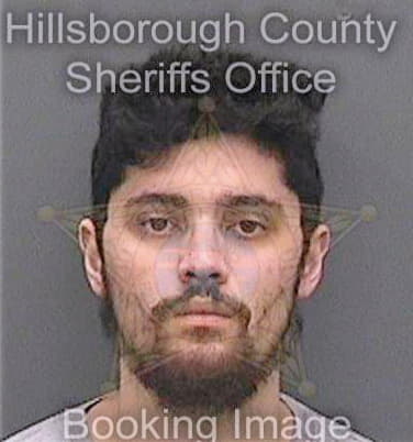 Stewart Kenneth - Hillsborough County, FL 