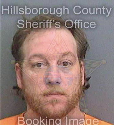 Deangelis David - Hillsborough County, FL 