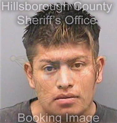 Gonzalezhernandez Edgar - Hillsborough County, FL 