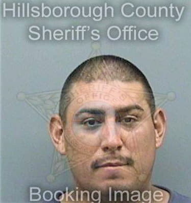 Garcia Delmiro - Hillsborough County, FL 