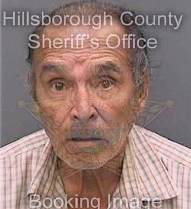 Fernandez Elpidio - Hillsborough County, FL 