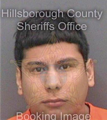 Garcia Cristian - Hillsborough County, FL 