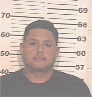 Reyes Jr.rene - Hidalgo County, TX 