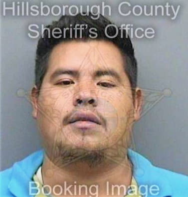 Vargas Santiago - Hillsborough County, FL 