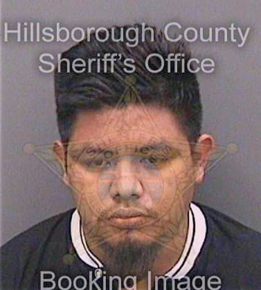 Carpinterohernandez Lisandro - Hillsborough County, FL 