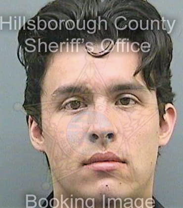 Beirne Michael - Hillsborough County, FL 