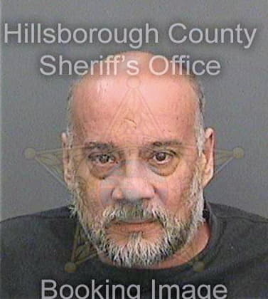 Velez David - Hillsborough County, FL 