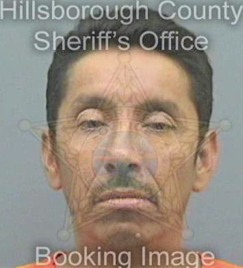 Duranalvarado Martin - Hillsborough County, FL 