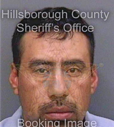 Diazdiaz Armando - Hillsborough County, FL 