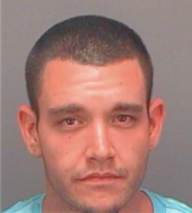 Olivier William - Pinellas County, FL 