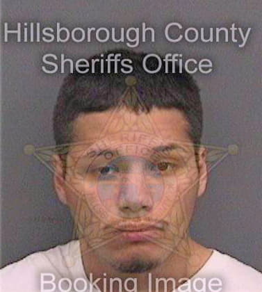 Garcia Felipe - Hillsborough County, FL 