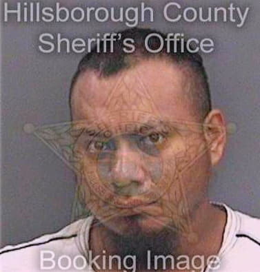 Perezroblero Antonio - Hillsborough County, FL 