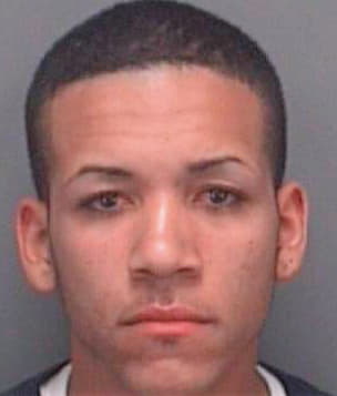 Delarosa William - Pinellas County, FL 