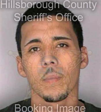 Melendez Hector - Hillsborough County, FL 