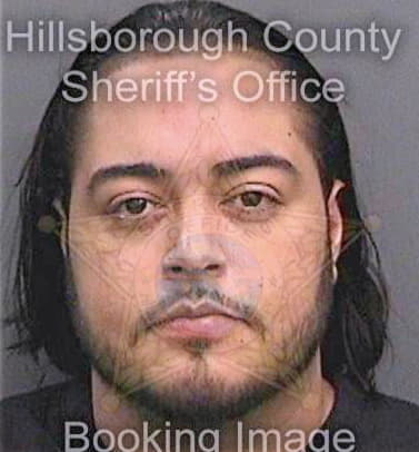 Torres Daniel - Hillsborough County, FL 