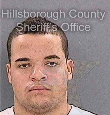 Thayer Joshua - Hillsborough County, FL 