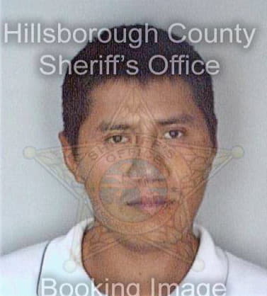 Sanchez Antonio - Hillsborough County, FL 