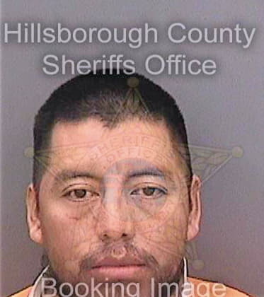 Delacruz Domingo - Hillsborough County, FL 