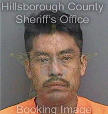 Ramirezhernandez Luis - Hillsborough County, FL 