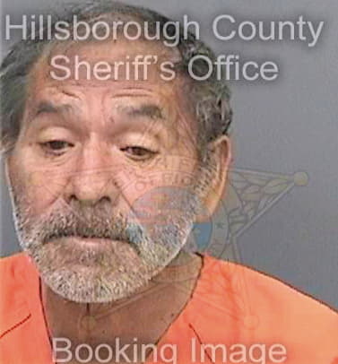 Delatorremorales Jesus - Hillsborough County, FL 