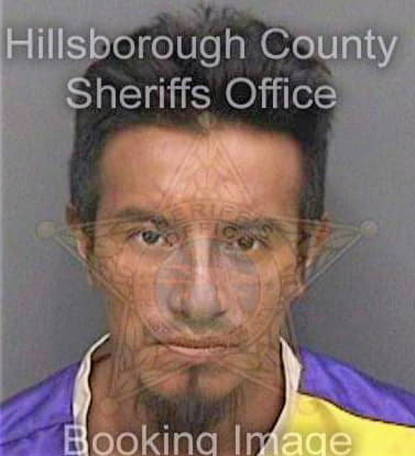 Deleongutierrez Leyver - Hillsborough County, FL 