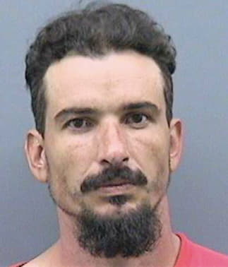 Merrill Shaun - Hillsborough County, FL 