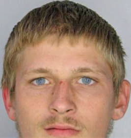 Michel David - Hillsborough County, FL 