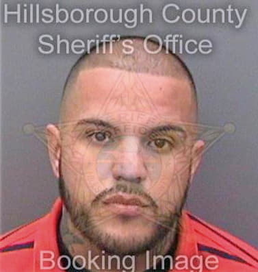 Gonzalez Emilio - Hillsborough County, FL 