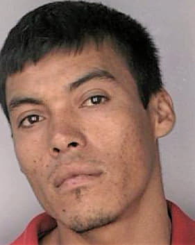 Mendoza Sergio - Hillsborough County, FL 