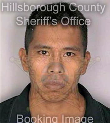 Mendozamedina Amado - Hillsborough County, FL 