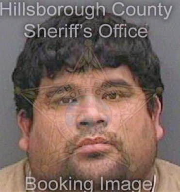 Echeverrialona Fernando - Hillsborough County, FL 