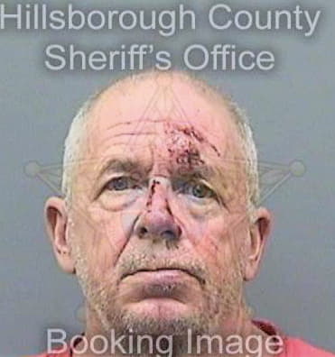 Bivens Terry - Hillsborough County, FL 