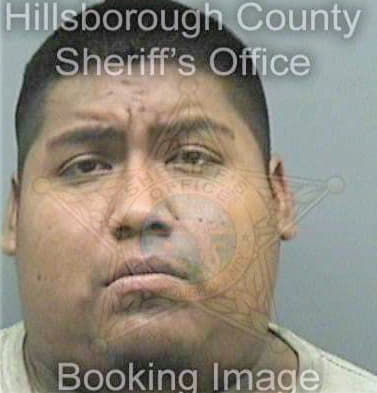 Mendoza Ricardo - Hillsborough County, FL 