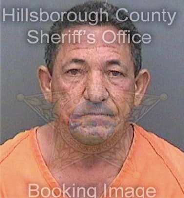 Ojeda Vicente - Hillsborough County, FL 